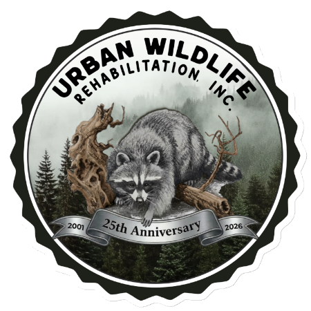 Logo of Urban Wildlife Rehabilitation, Inc. with a raccoon illustration and 25th anniversary text.